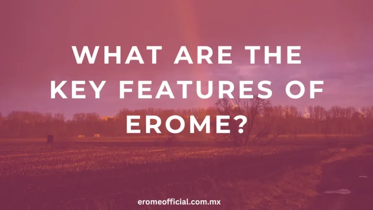 What Are the Key Features of EroMe