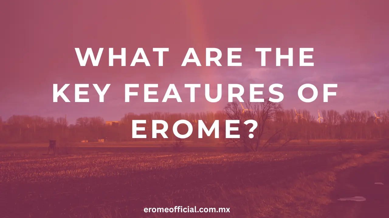 What Are the Key Features of EroMe